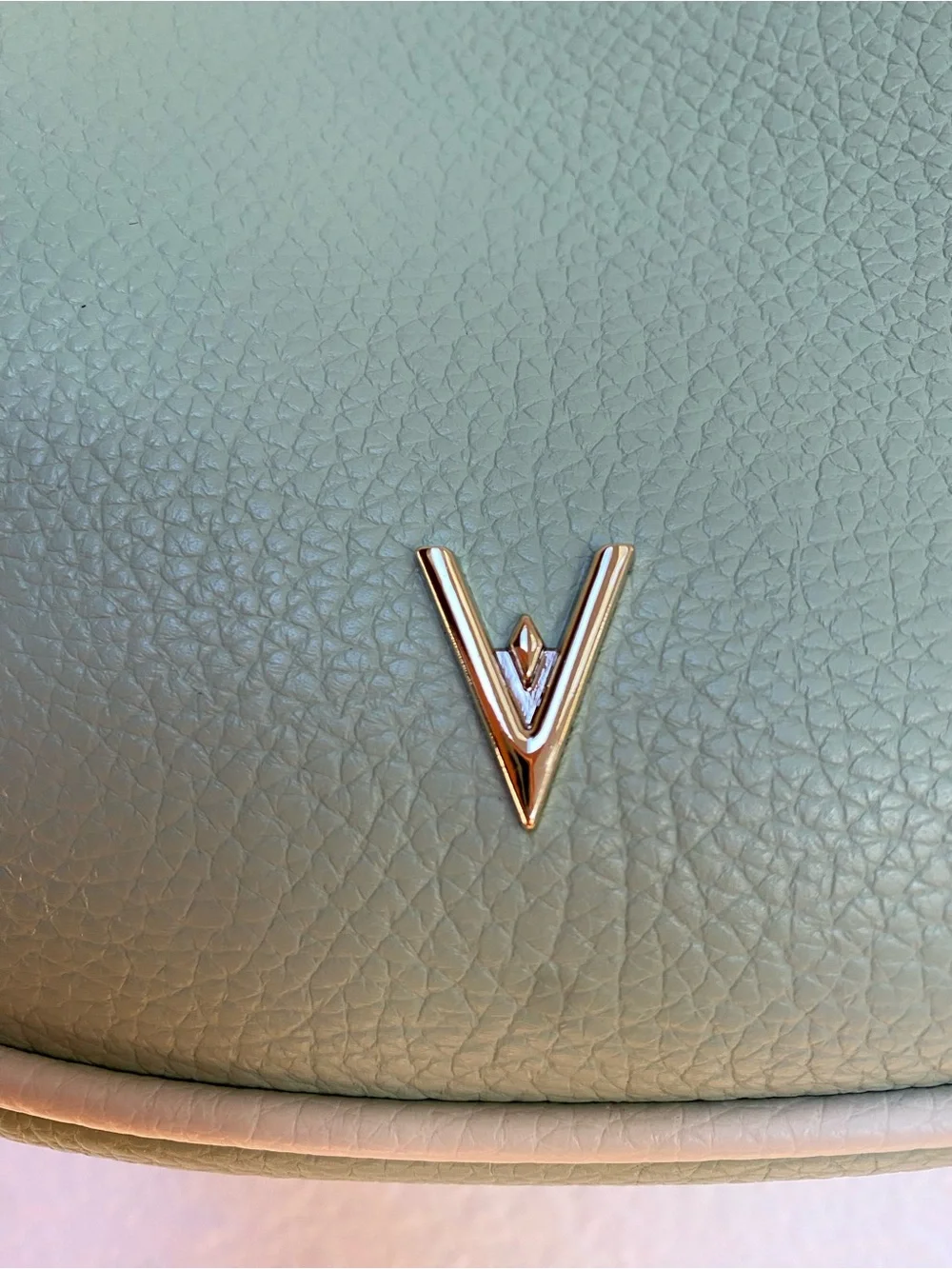 Vanessa Williams Crescent Hobo Bag in Mint Green